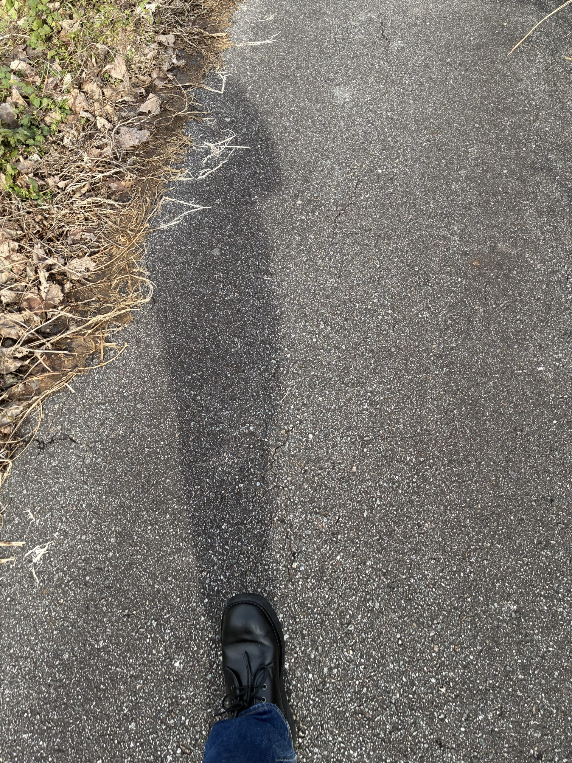 詩人　作詞家　阿閉 真琴